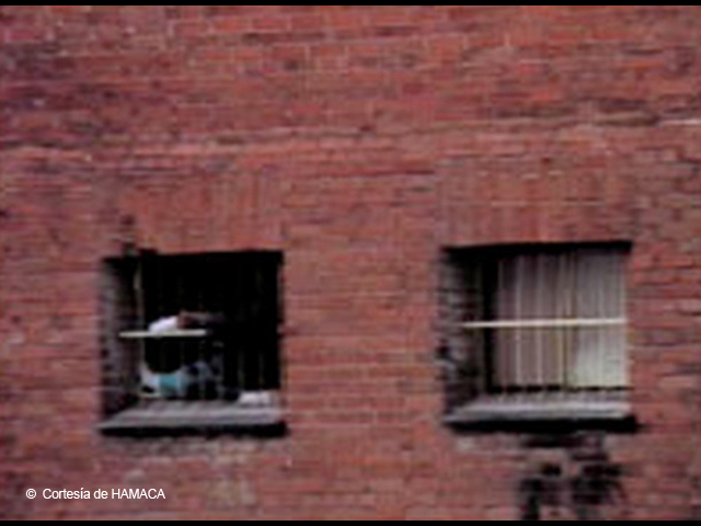 Stacks Image 7203